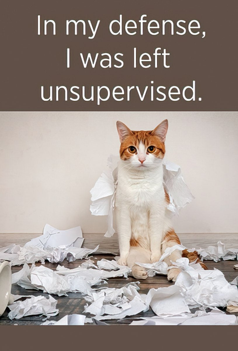 Funny magnet design: An orange and white cat sits amidst shredded paper, with the text "In my defense, I was left unsupervised."