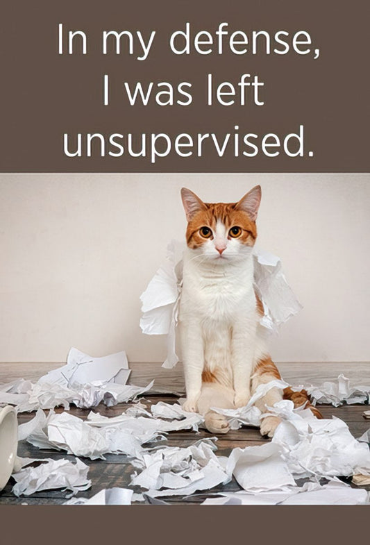 Funny magnet design: An orange and white cat sits amidst shredded paper, with the text "In my defense, I was left unsupervised."