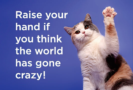 General Crazy World Cat Magnet | Funny Humorous Gift | Funny  Magnet