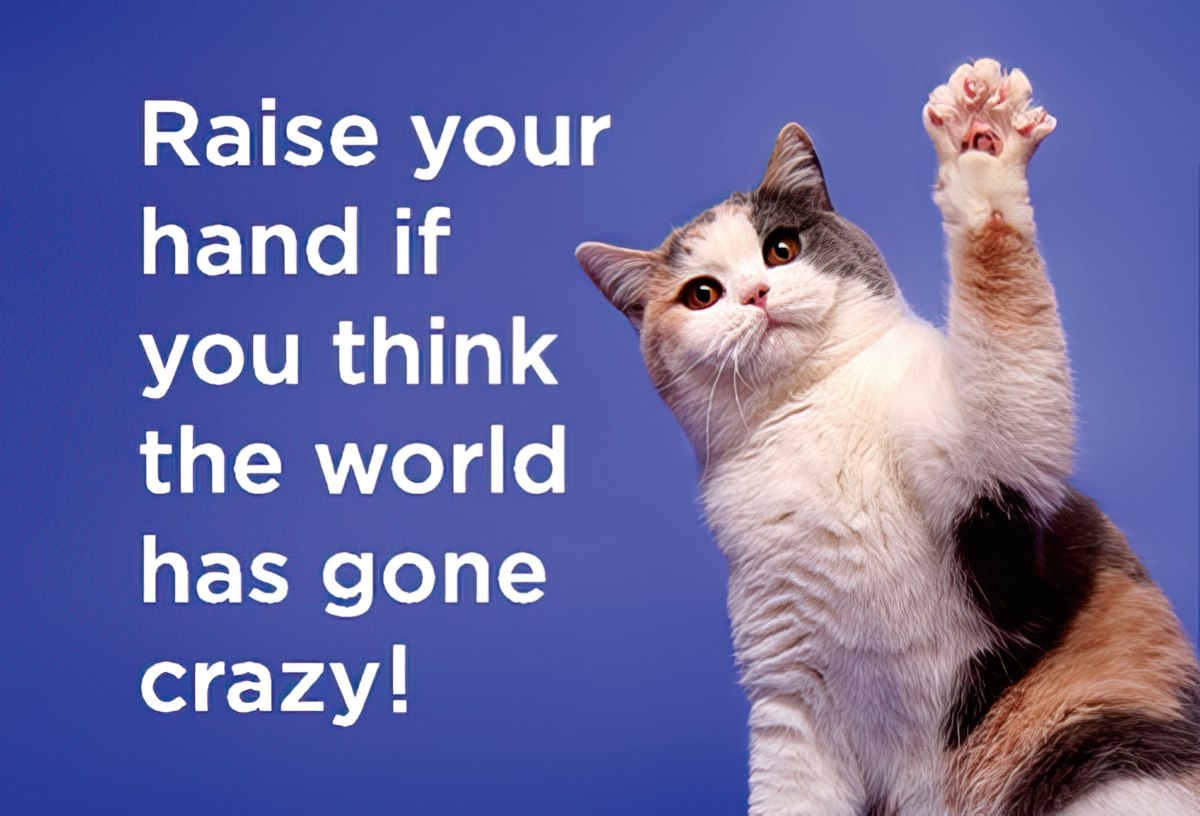 67475.p01.jpg