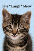 Cute winking tabby kitten magnet with 'Live * Laugh * Meow' text on a light blue striped background, perfect for refrigerator or locker humor.