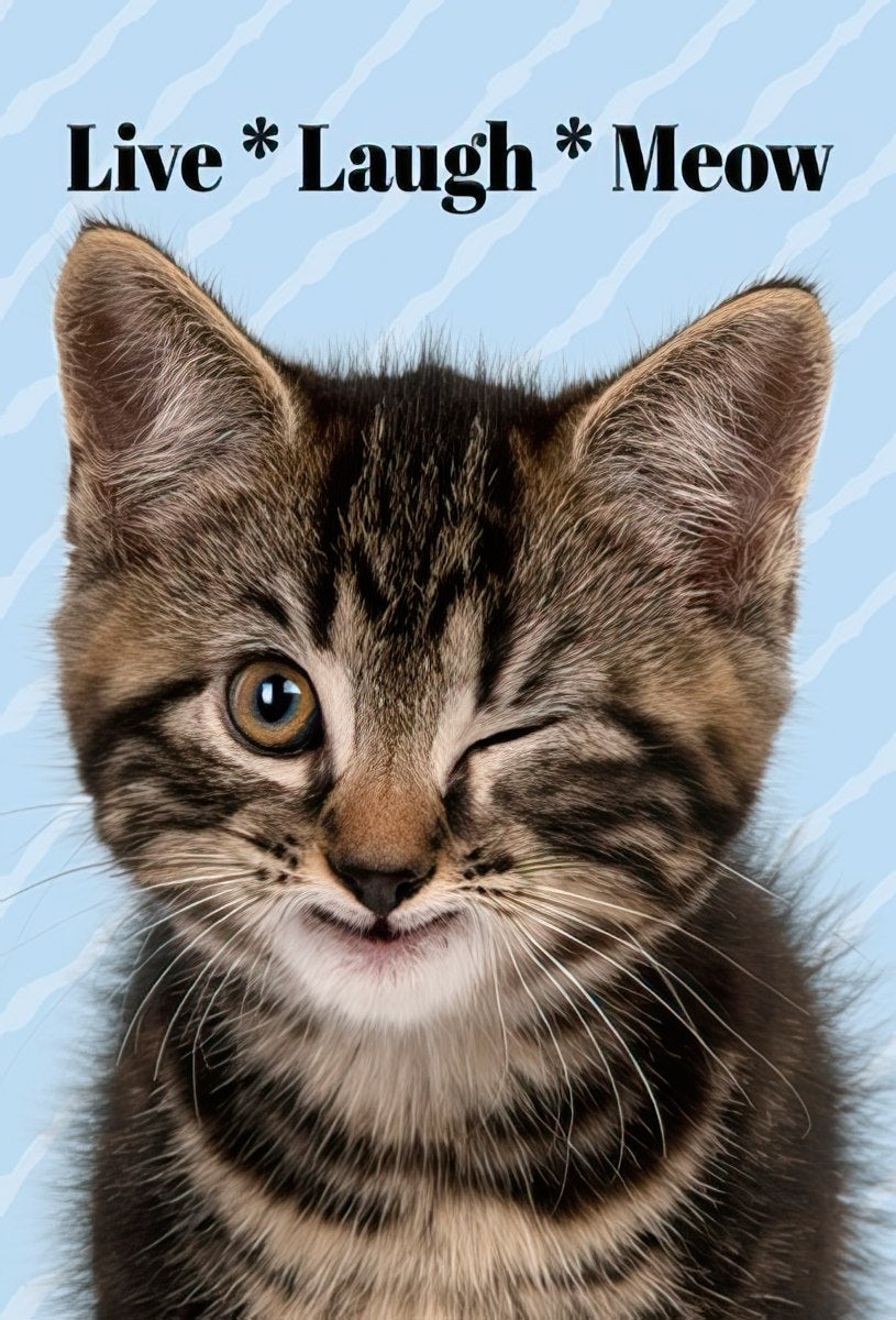 Cute winking tabby kitten magnet with 'Live * Laugh * Meow' text on a light blue striped background, perfect for refrigerator or locker humor.