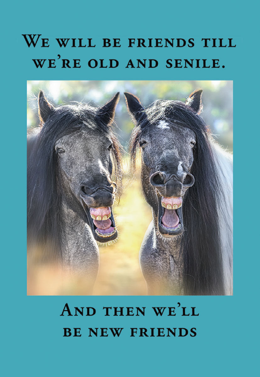 Friends Till We're Old and Senile Horse Magnet