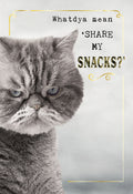 Grumpy grey Persian cat magnet with blue eyes and the text 'Whatdya mean SHARE MY SNACKS?' in gold and black, featuring a decorative gold border.