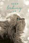Inspirational magnet featuring a fluffy sepia-toned cat with striking teal eyes looking upwards, bokeh lights, and 'KEEP looking UP' message.