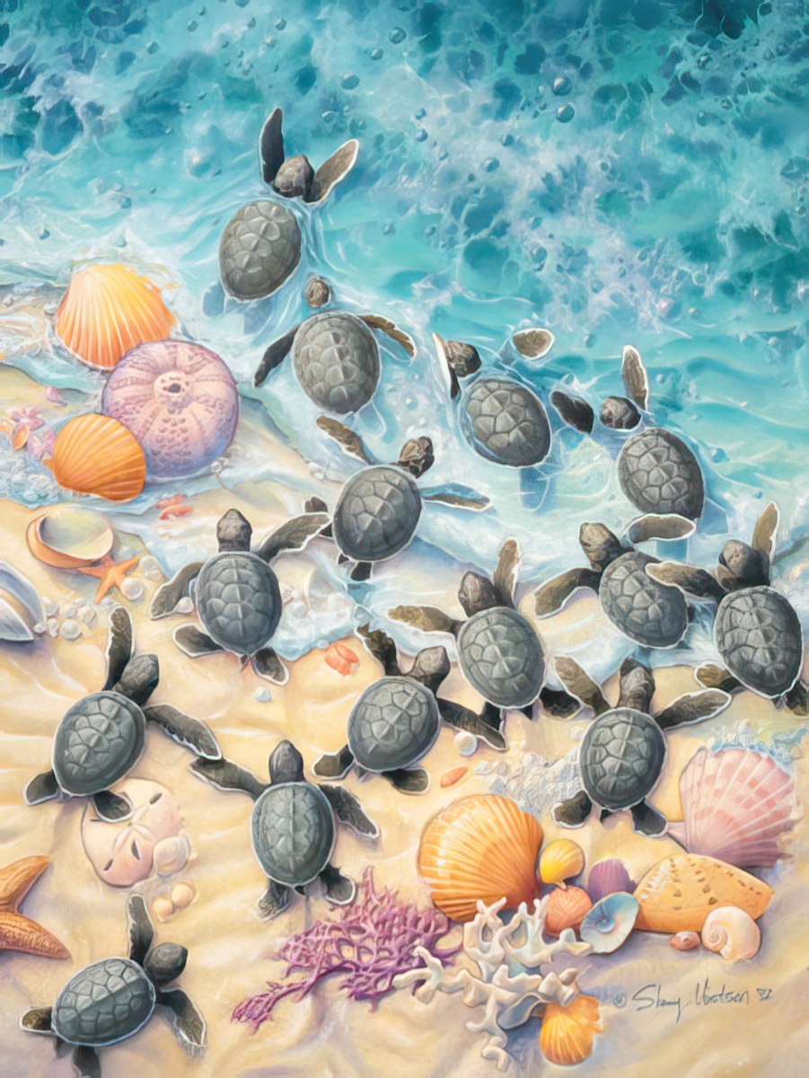 Cute Baby Sea Turtle Birthday Card - Wishes Swimming Your Way - Cute  Birthday Greeting Card | Leanin' Tree, image size:901x1200