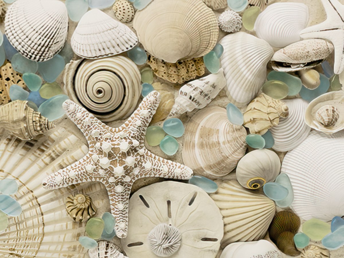 Close-up of assorted seashells, a starfish, and sea glass on a sandy background, perfect for a coastal-themed birthday greeting card.