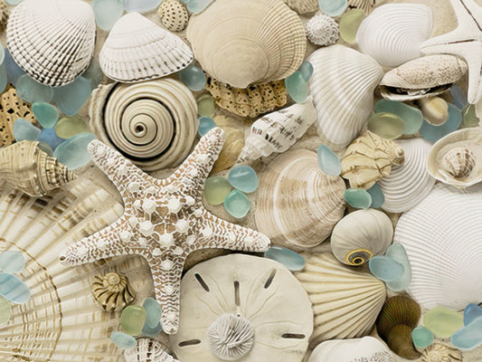 Close-up of assorted seashells, a starfish, and sea glass on a sandy background, perfect for a coastal-themed birthday greeting card.