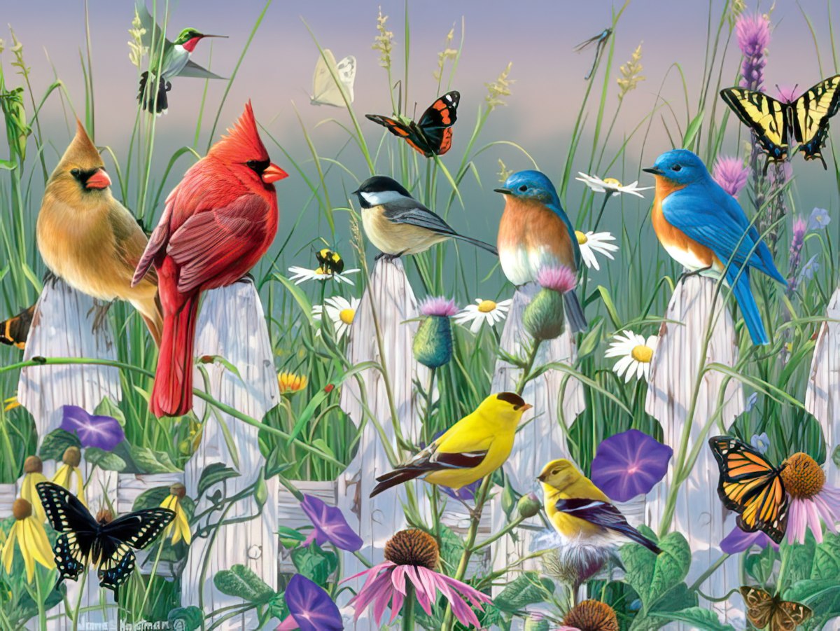 Vibrant greeting card with diverse birds and butterflies perched on a white picket fence amidst colorful wildflowers in a sunny meadow.