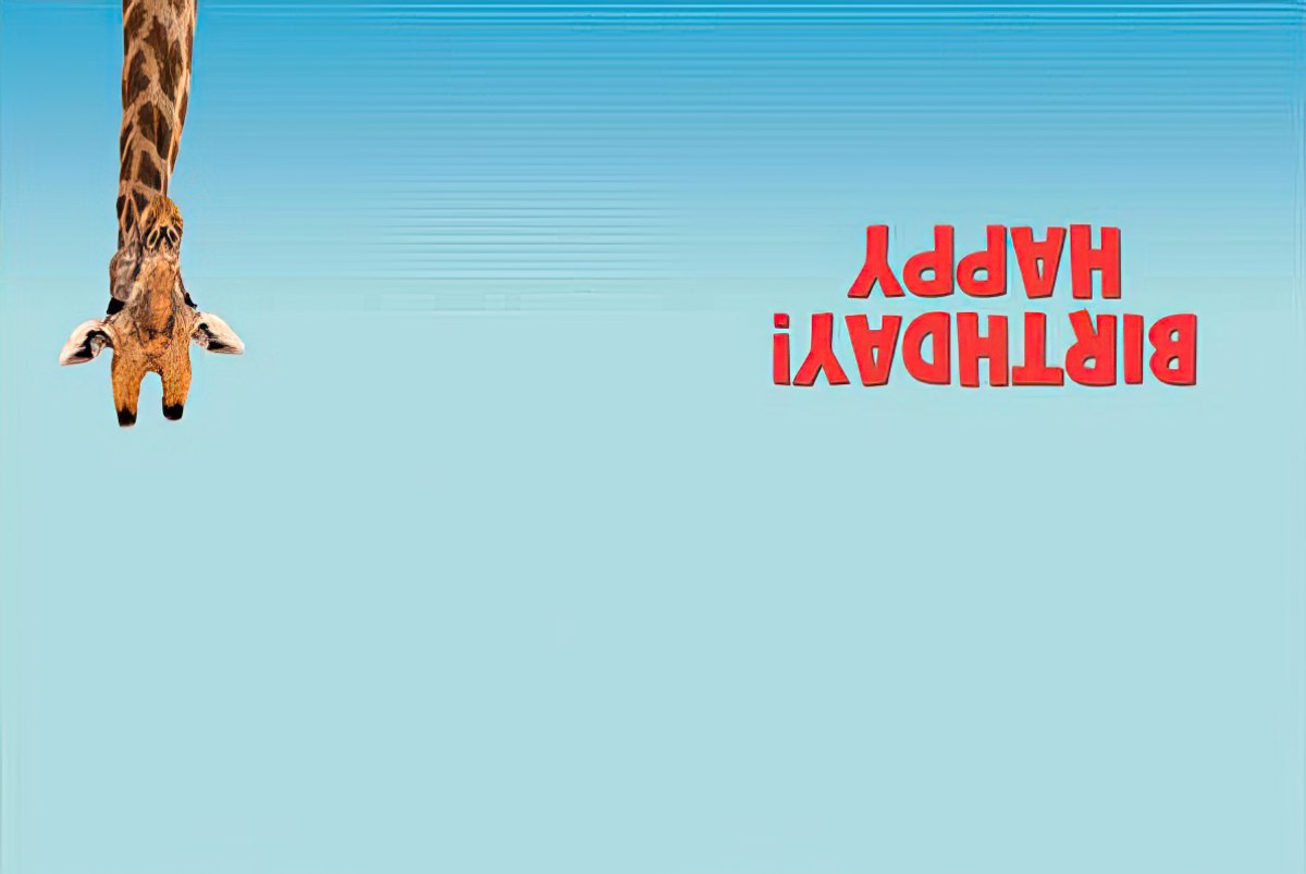 Inside of the giraffe birthday card, with the text 'HAPPY BIRTHDAY' inverted, matching the front design.