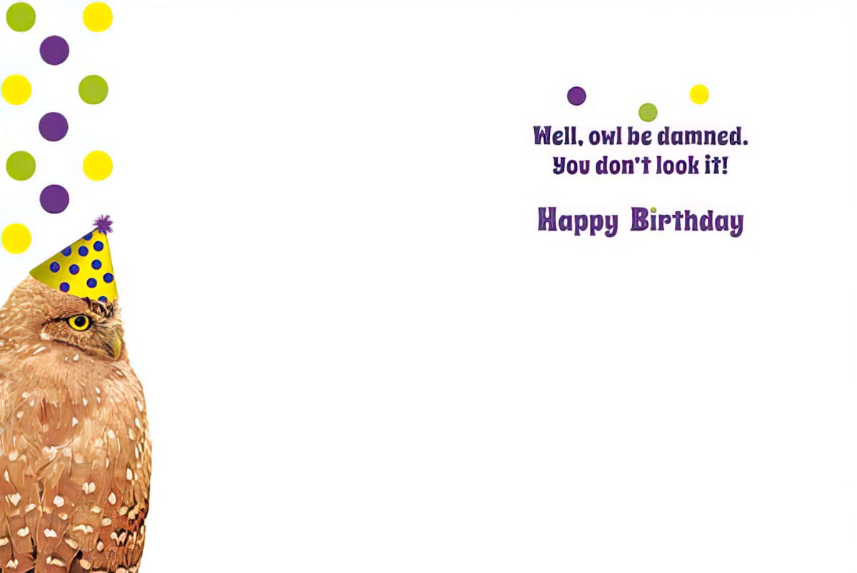 Inside of the owl birthday card, with colorful dots and the witty message 'Well, owl be damned. You don't look it! Happy Birthday'.