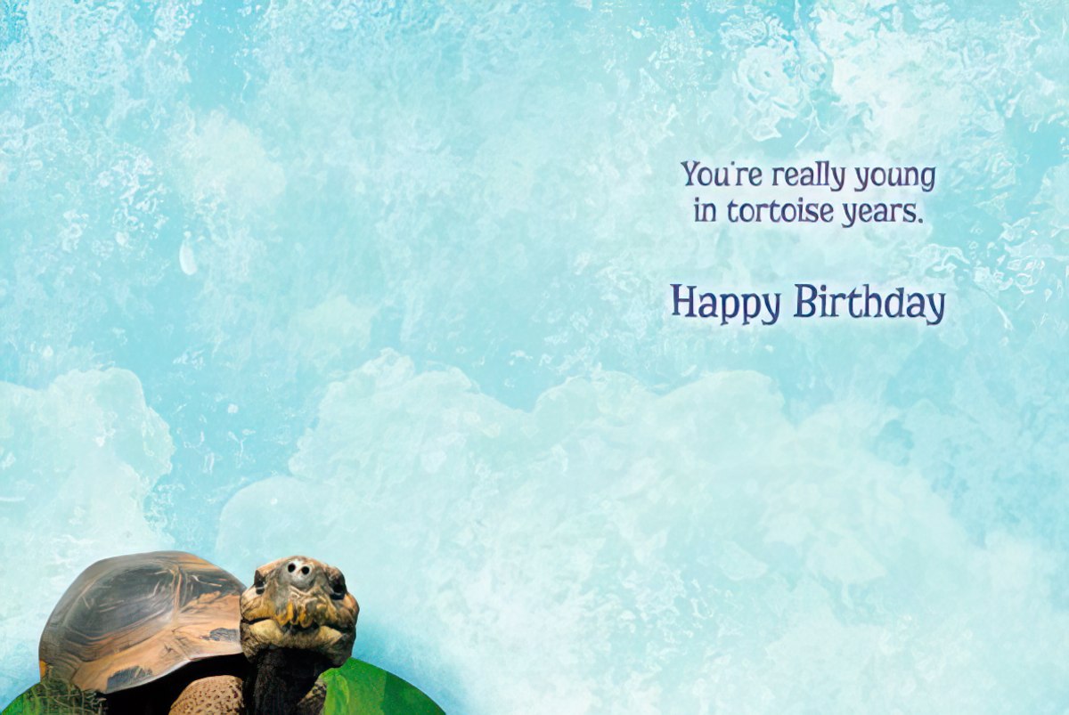 Inside of the tortoise birthday card, with a cloudy blue background and the message 'You're really young in tortoise years. Happy Birthday'.
