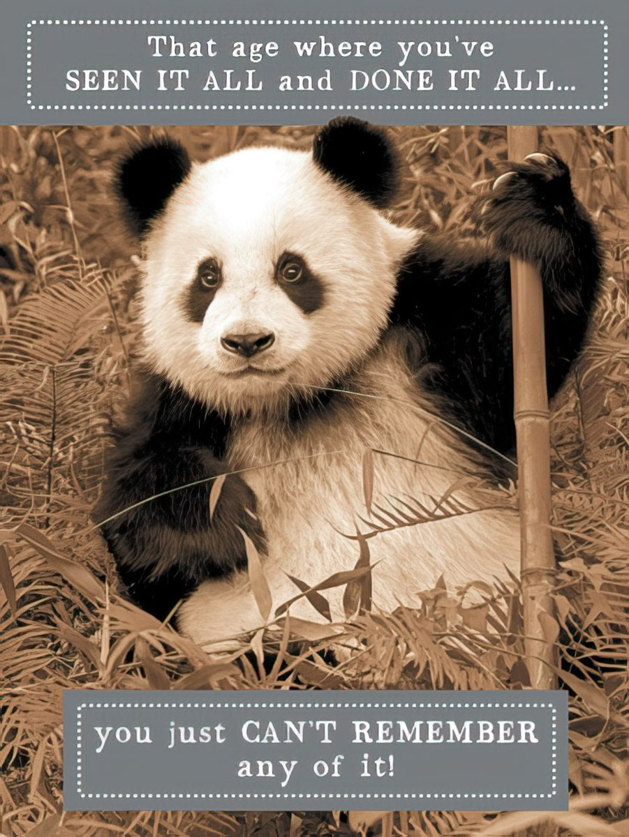 Front of a funny birthday card with a panda, text: 'That age where you've SEEN IT ALL and DONE IT ALL... you just CAN'T REMEMBER any of it!'.