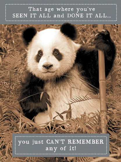 Front of a funny birthday card with a panda, text: 'That age where you've SEEN IT ALL and DONE IT ALL... you just CAN'T REMEMBER any of it!'.
