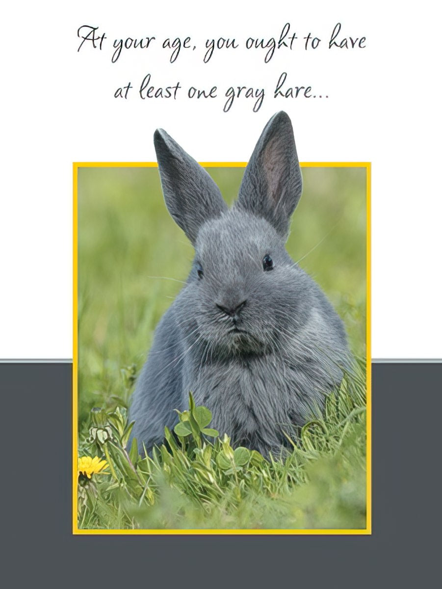 Front of a witty birthday card featuring a fluffy gray rabbit in grass, with the text 'At your age, you ought to have at least one gray hare...'.