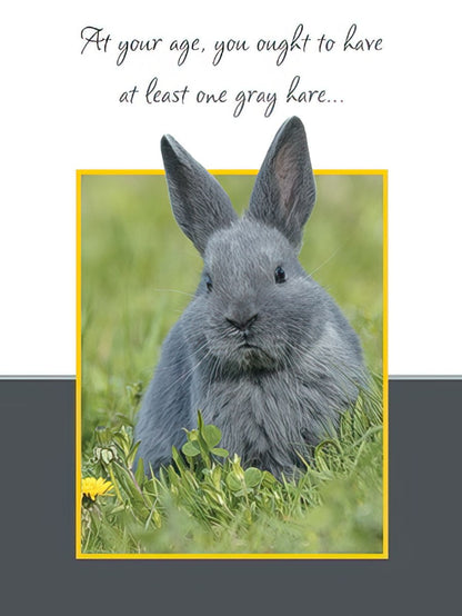 Front of a witty birthday card featuring a fluffy gray rabbit in grass, with the text 'At your age, you ought to have at least one gray hare...'.