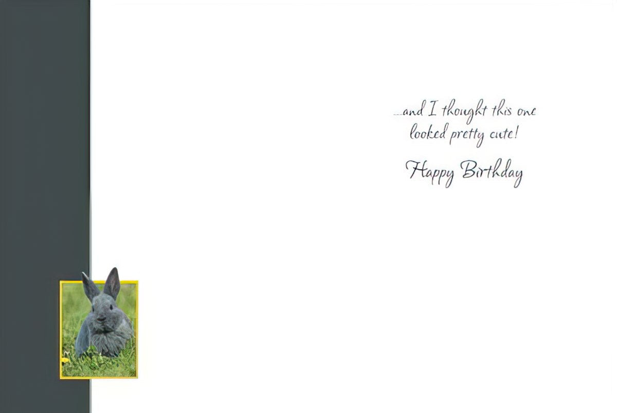 Inside of the rabbit birthday card, completing the pun: '...and I thought this one looked pretty cute! Happy Birthday'.