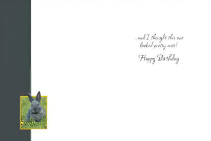 Inside of the rabbit birthday card, completing the pun: '...and I thought this one looked pretty cute! Happy Birthday'.