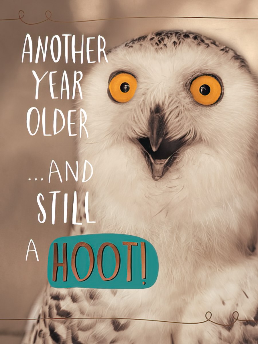 Front of a humorous birthday card featuring a wide-eyed snowy owl with the text 'ANOTHER YEAR OLDER ...AND STILL A HOOT!'.