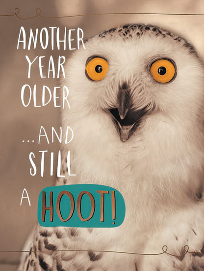 Front of a humorous birthday card featuring a wide-eyed snowy owl with the text 'ANOTHER YEAR OLDER ...AND STILL A HOOT!'.
