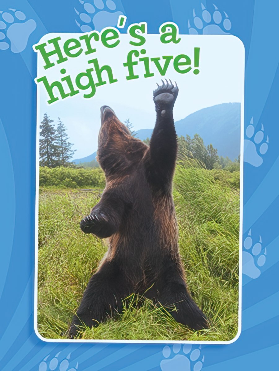 Front of an encouraging greeting card featuring a brown bear with its paw raised, giving 'Here's a high five!'.