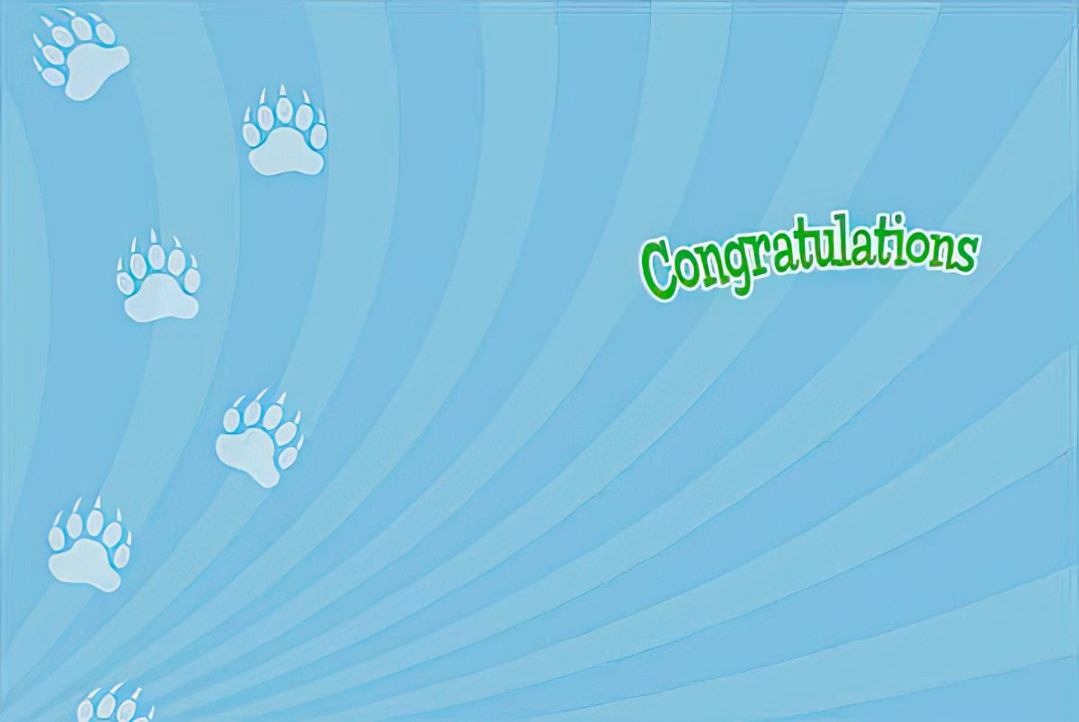 Inside of the high-five bear card, with a blue background and paw prints, offering 'Congratulations'.