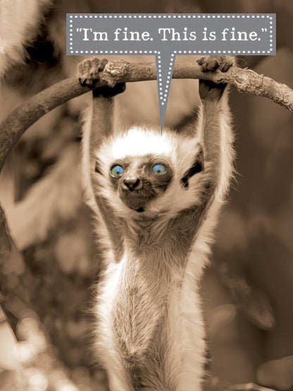 Front of a humorous card featuring a lemur hanging from a branch with wide eyes, saying '"I'm fine. This is fine."'.