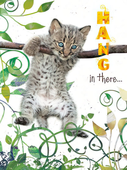 Front of an encouraging card featuring a cute bobcat kitten hanging from a branch, with the text 'HANG in there...' surrounded by foliage.