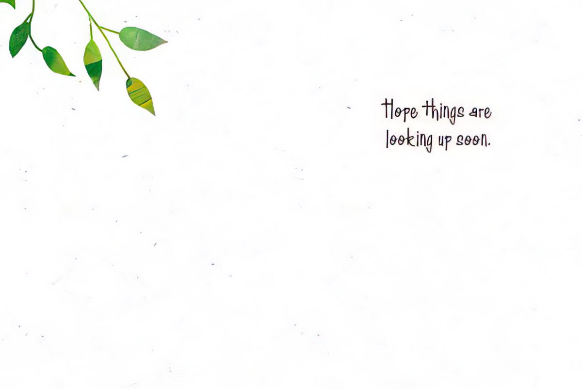Inside of the bobcat kitten card, with green leaf accents and the hopeful message 'Hope things are looking up soon.'.