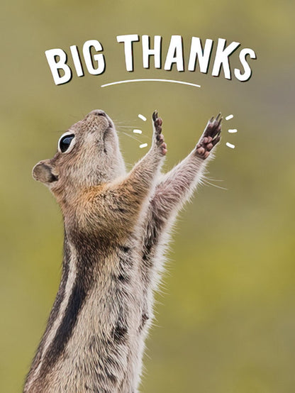 Front of a thank you card featuring a chipmunk with its arms raised in appreciation, under the bold text 'BIG THANKS'.
