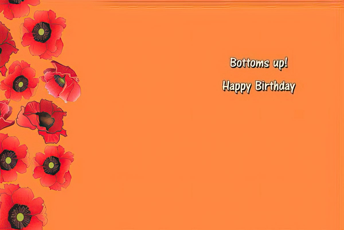 Inside of the 'aging like fine wine' card, with a 'Bottoms up! Happy Birthday' message against a poppy background.