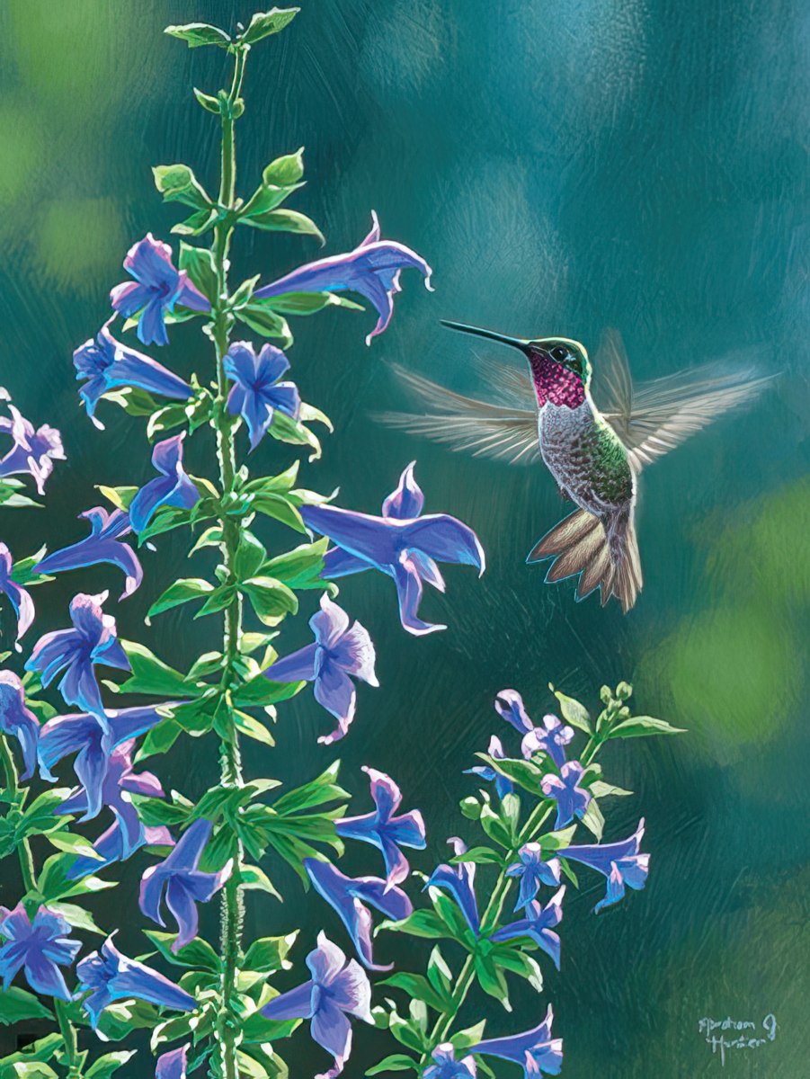 A vibrant hummingbird hovers near tall purple-blue flowers against a soft green background, captured mid-flight.