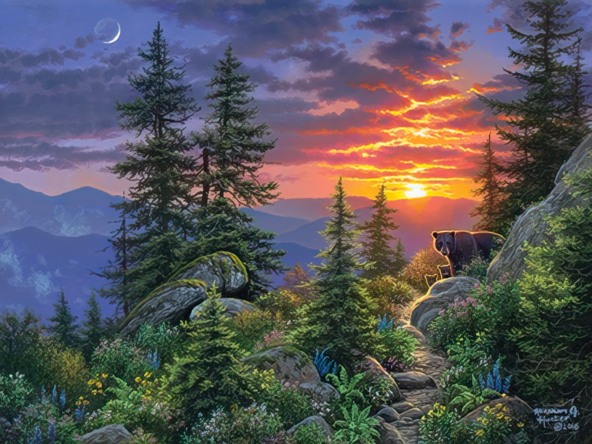 A black bear stands on a rocky mountain path overlooking a breathtaking sunset sky, surrounded by lush green trees and wildflowers.