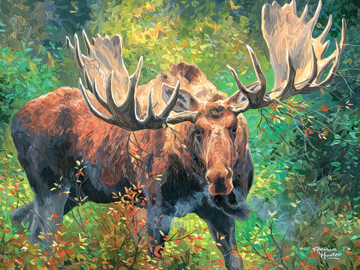 A grand moose with large antlers stands alert amidst dense green and rust-colored foliage in a forest setting.