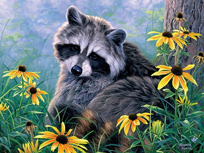 A fluffy raccoon sits attentively among bright yellow black-eyed Susans in a serene, green natural setting.