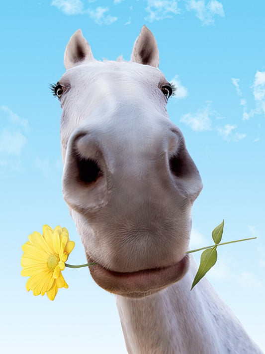 Close-up of a cute white horse with big eyes, holding a bright yellow flower in its mouth, against a clear blue sky.