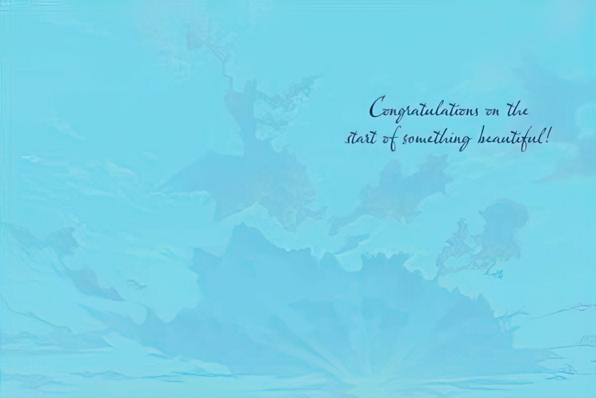 Inside of a wedding greeting card with a light blue background and the script message 'Congratulations on the start of something beautiful!'.