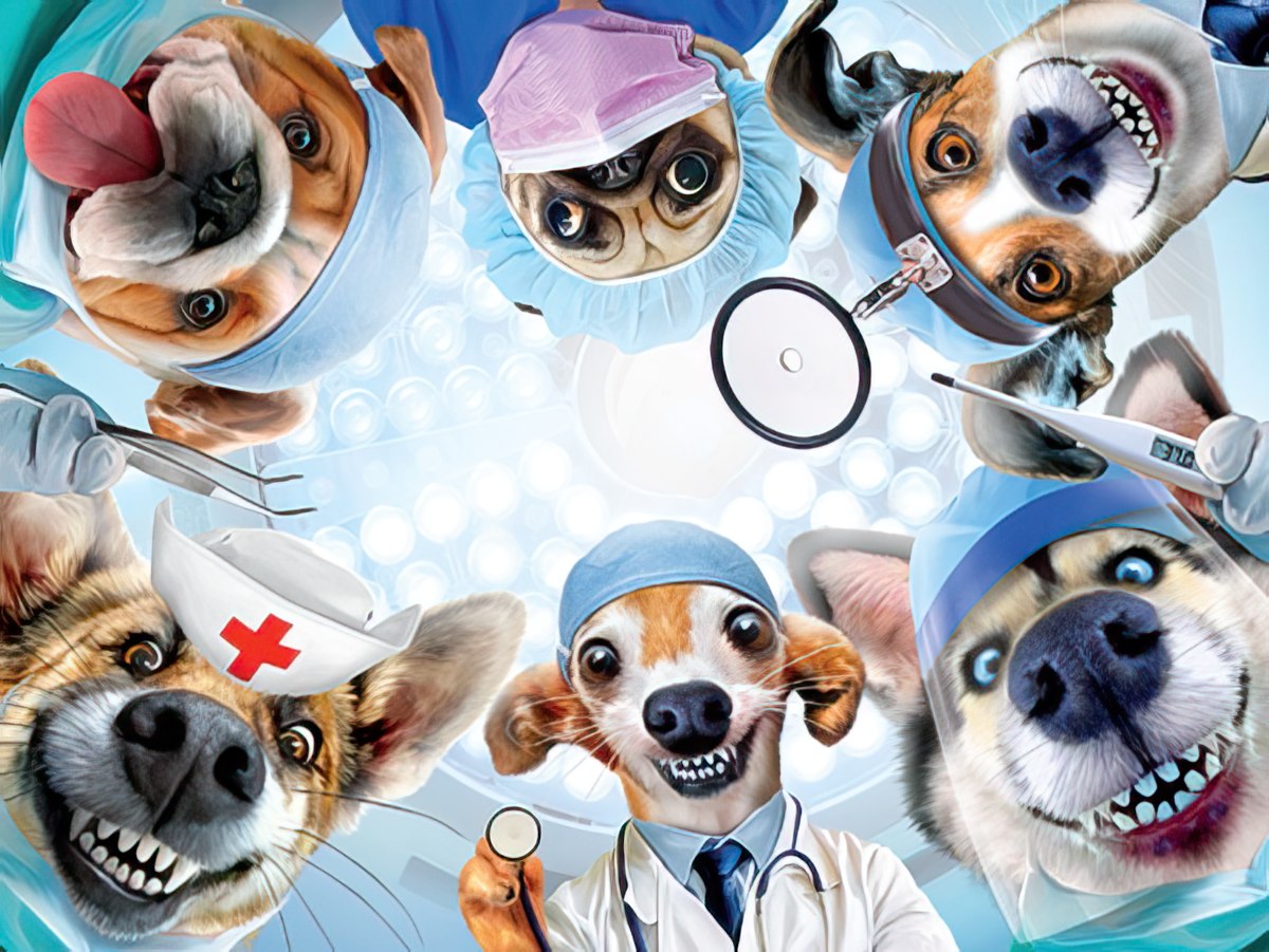 Funny get well card featuring a circle of diverse dogs dressed as doctors and nurses in vibrant blue and pink surgical scrubs and hats, looking down into an operating room. One dog holds a thermometer, another an otoscope, creating a humorous, lighthearted medical theme for recovery.