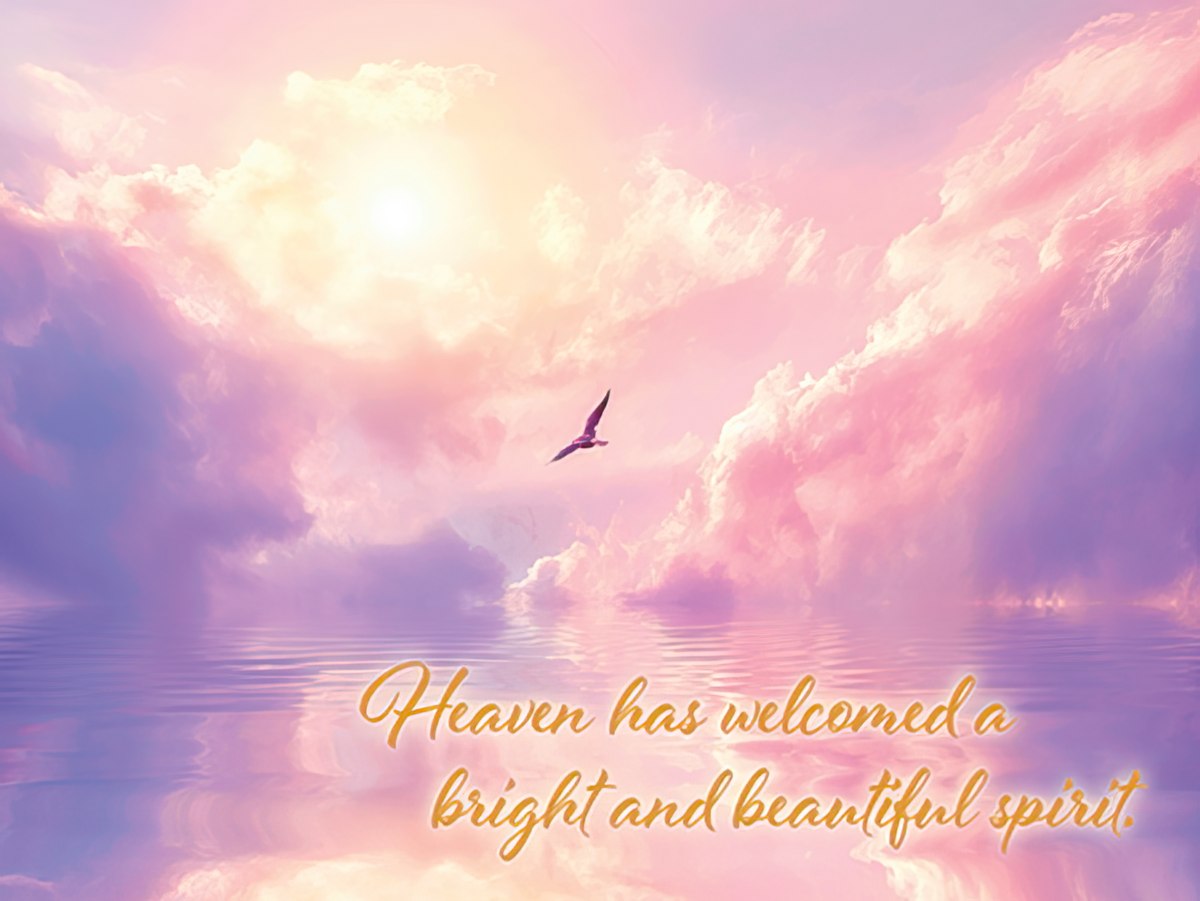Sympathy card front featuring a sea gull flying in a vibrant lavender and pink sky with sunlight, and text 'Heaven has welcomed a bright and beautiful spirit'.