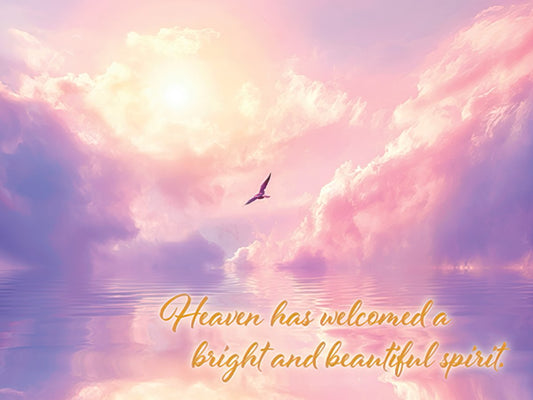Sympathy card front featuring a sea gull flying in a vibrant lavender and pink sky with sunlight, and text 'Heaven has welcomed a bright and beautiful spirit'.