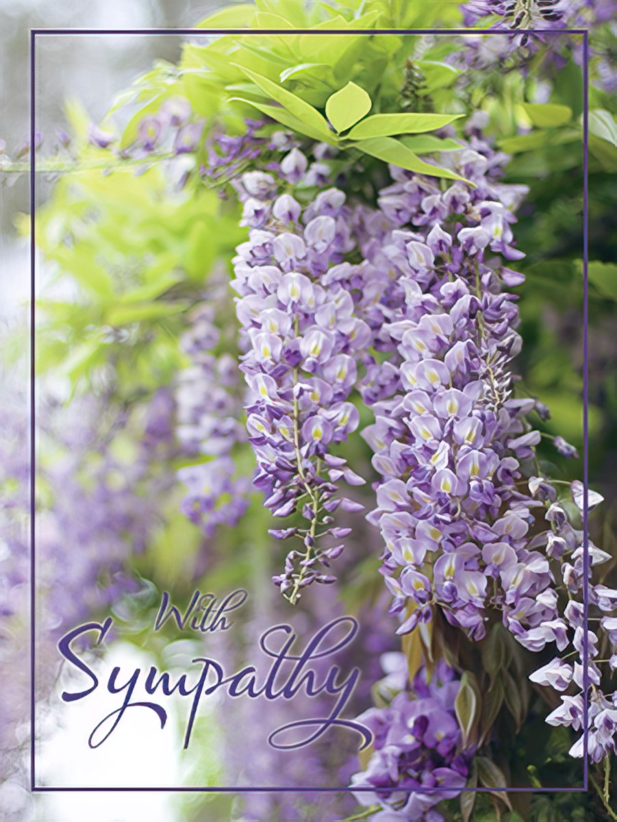 Sympathy card adorned with lush, cascading purple wisteria blooms, creating a serene floral scene.