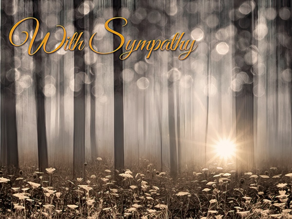 Sympathy card featuring a sunburst through a misty forest of trees with white wildflowers in the foreground.