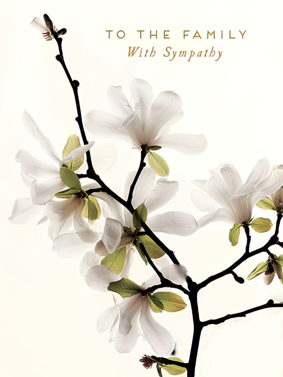 Sympathy card featuring an elegant white magnolia branch with blooms and leaves on a pristine background.