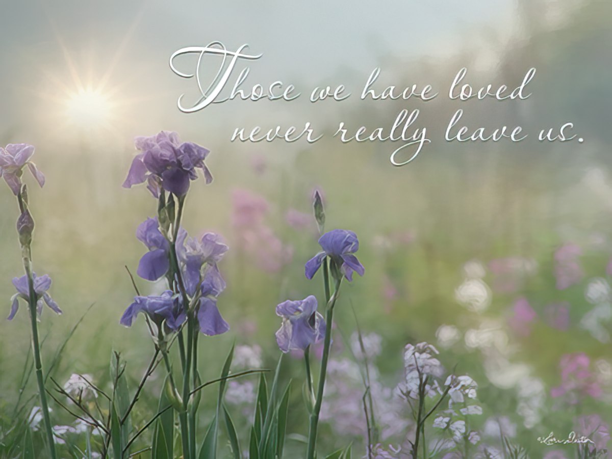 Sympathy card displaying a vibrant field of purple irises and wildflowers basking in the soft glow of sunrise.