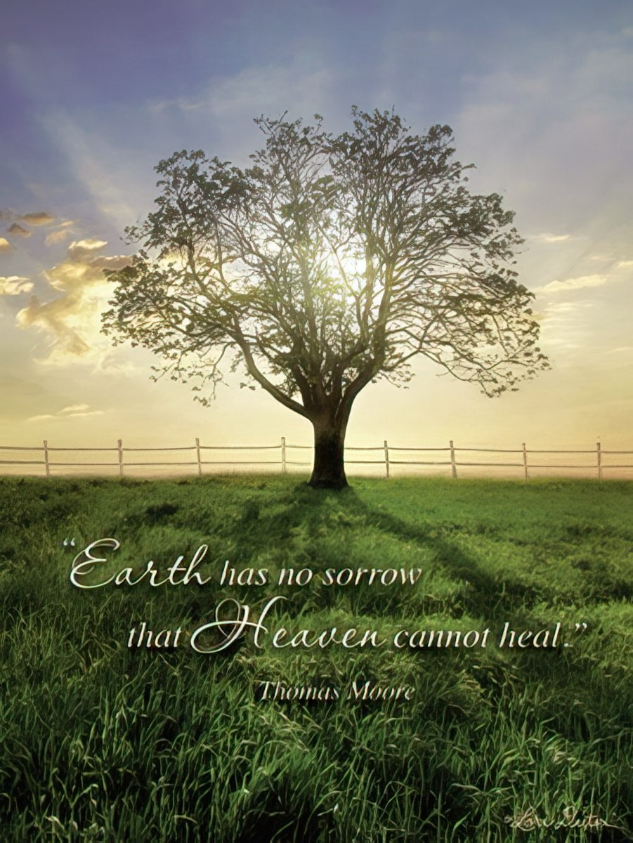 Sympathy card featuring a delicate white orchid bloom, with 'The memory of a loved one is never lost' message.