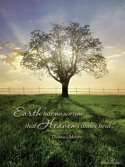 Sympathy card featuring a delicate white orchid bloom, with 'The memory of a loved one is never lost' message.