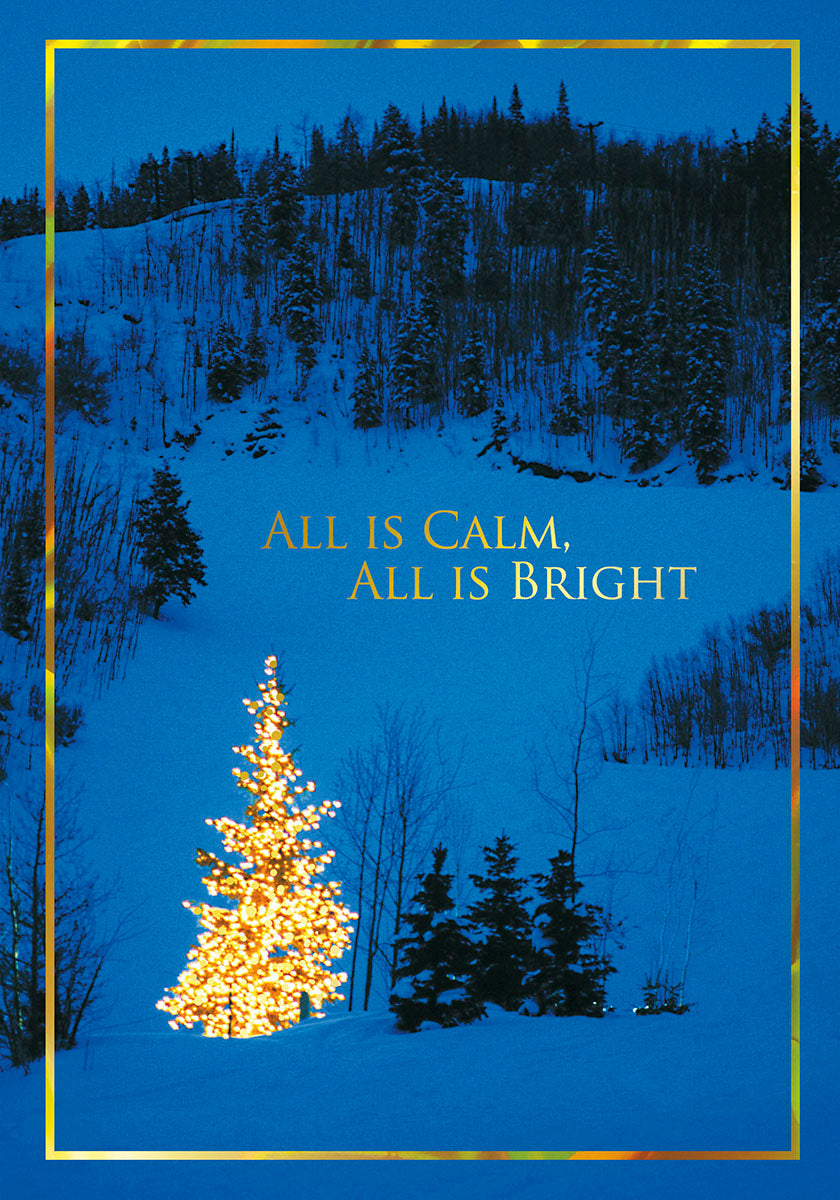 74113