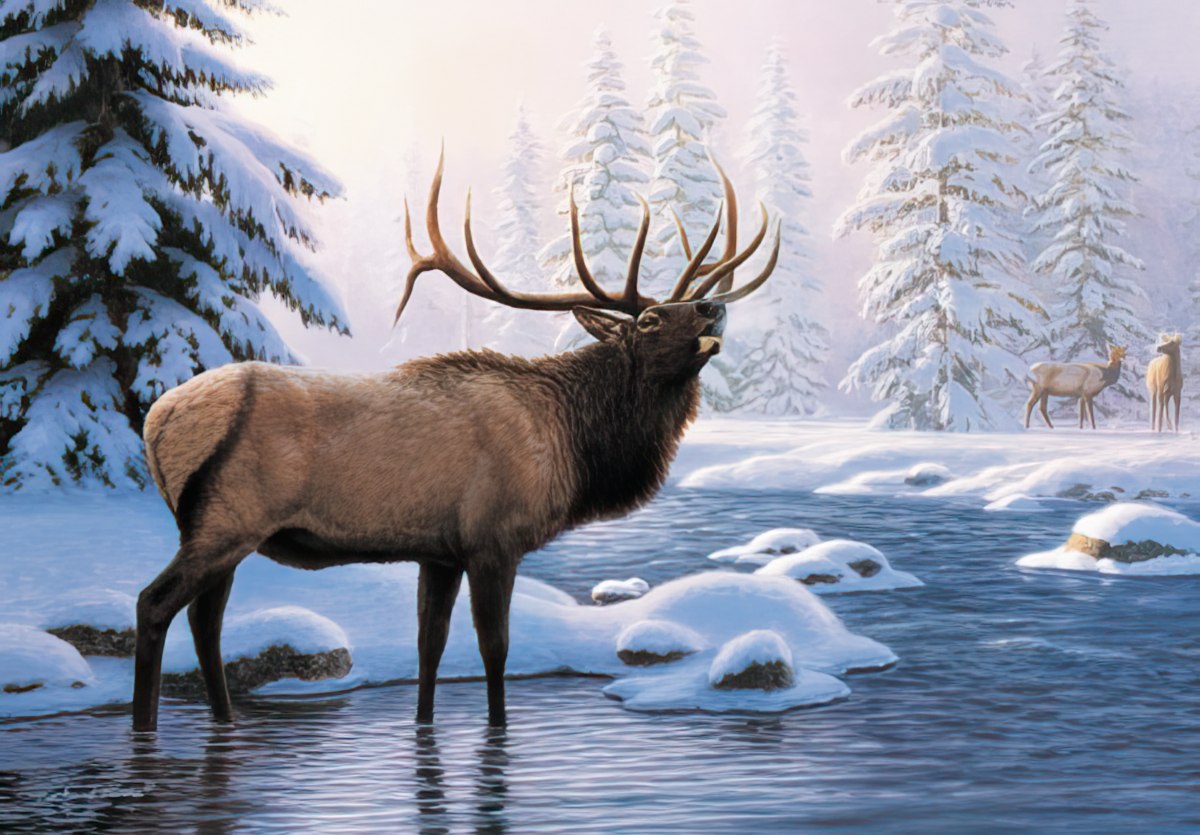 Elk Standing in Snowy Mountain River Christmas Card