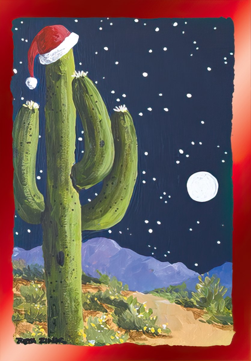 Cactus with Santa Hat in the Desert Moonlight Christmas Card