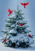 Snowy Pine Tree with Red Cardinals Christmas Card